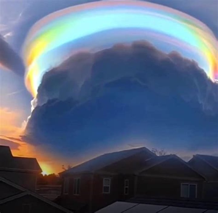 Exploring the Phenomenon: Mike Adriano Swallow'd