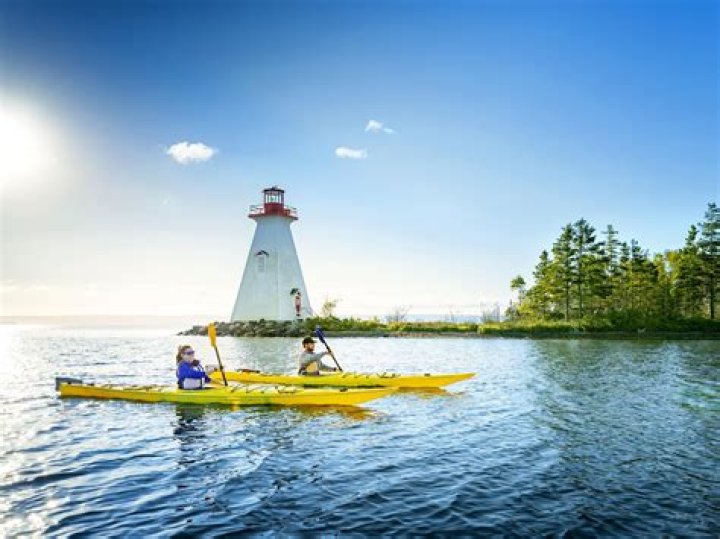 Exploring Whitney Wren's Stature And Its Impact
