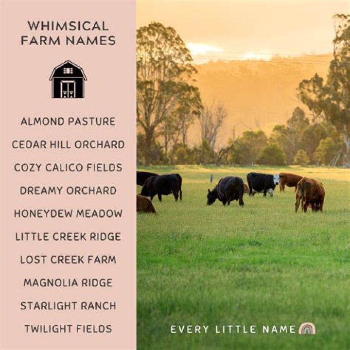 Great Farm Names That Captivate And Sell