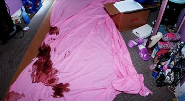 Gypsy Rose Mom Leaked Photos: The Crime Scene Uncovered