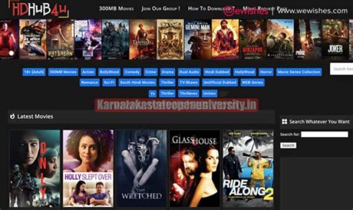 HDHub4U Bollywood Movies 2024: Your Ultimate Guide to the Latest Releases