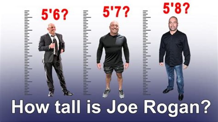 How Tall Is Joe Rogan? A Comprehensive Look at the Podcasting Legend
