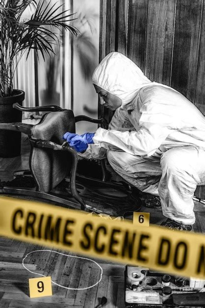 Inside The Lynne Harper Crime Scene Investigation