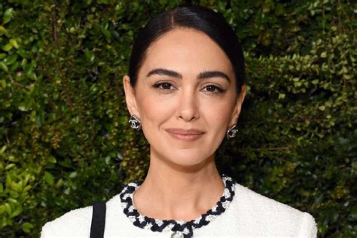 Insider's Guide To Nazanin Boniadi's Past Relationship