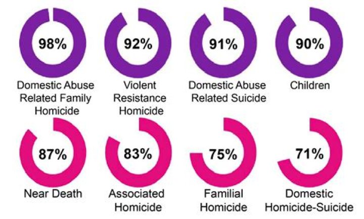 Insights Into Domestic Violence Homicides