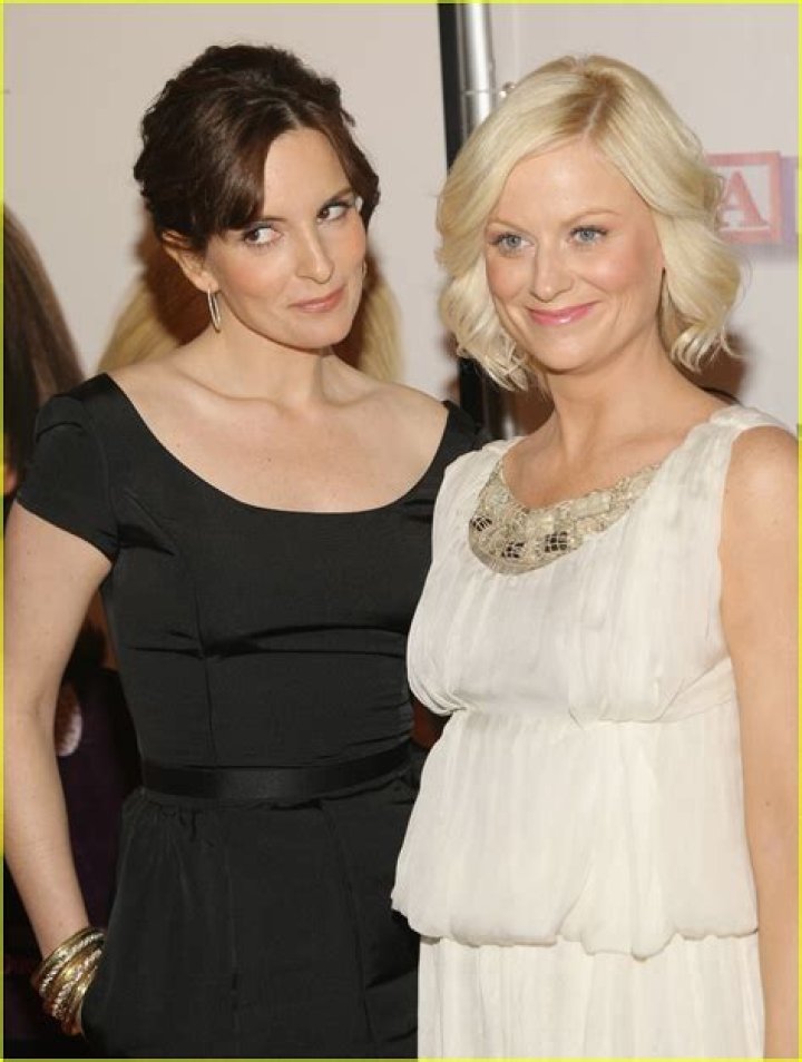 Is Amy Poehler Pregnant Soon? Find Out Here!