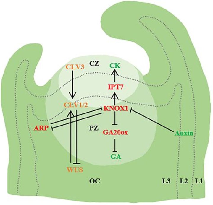 Is Molly Nobblit Going To Jail? An In-Depth Look