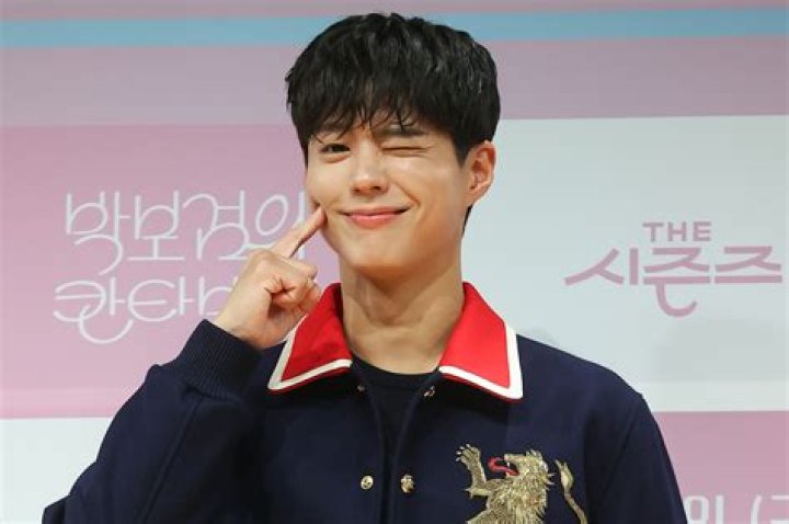 Korean Actor Park Bo Gum: A Rising Star In The Entertainment Industry