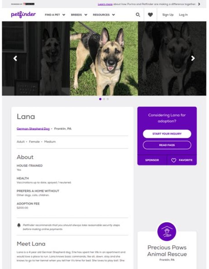 Lana Condor's Adoption Journey Explored