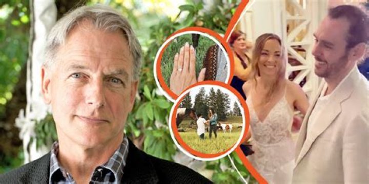 Mark Harmon's Marital Status Explored