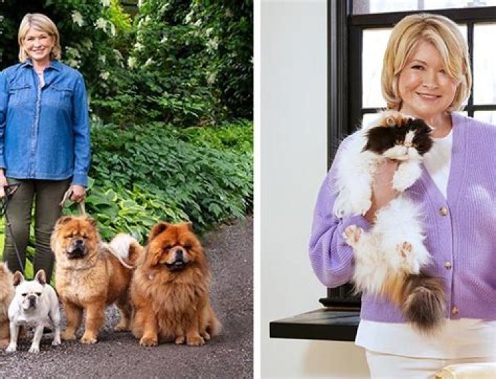 Martha Stewart's Dogs And Their Enduring Impact