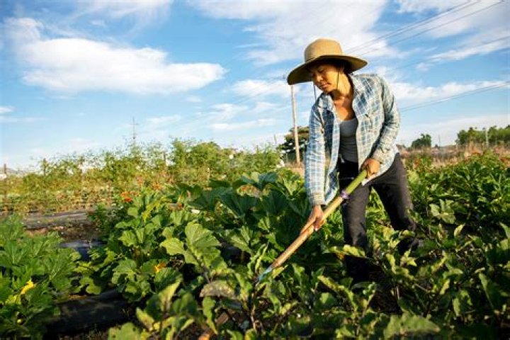 Meet Tony Farmer: The Renowned Expert In Agriculture