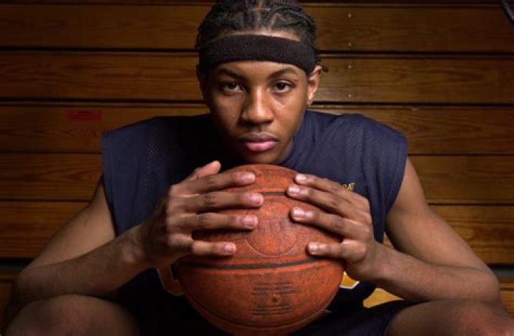 Michael Anthony Baltimore's HIV-1 Discoveries