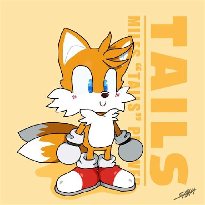 Miles Tails Prower's Age In Sonic