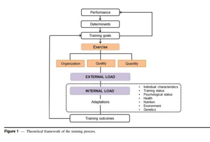 Proven Strategies To Master Baron Trimp: A Comprehensive Guide