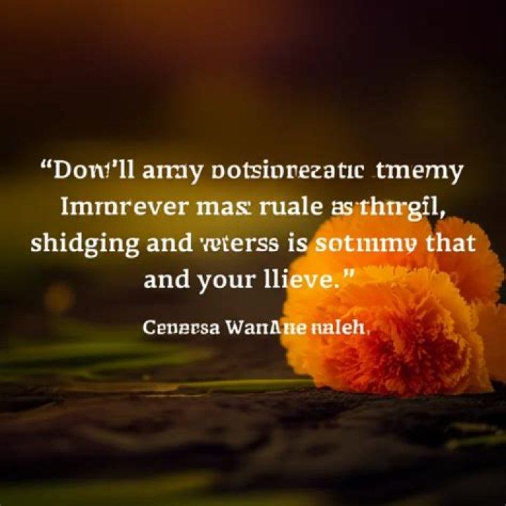 Quotes That Will Transform Your Perspective