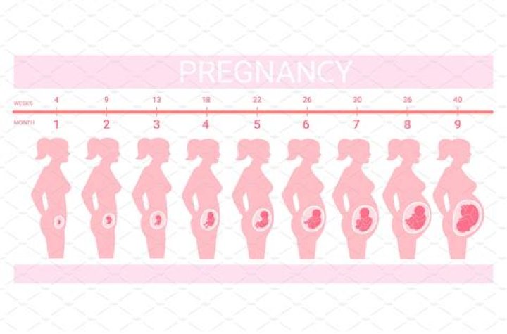 Sheree Whitfield's Pregnancy And Beyond