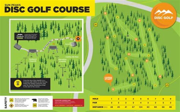Simon Lizotte's Age And Its Impact On Disc Golf