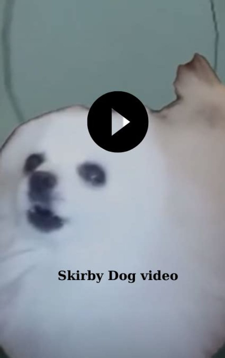 Skirby Dog Video: The Ultimate Guide to Understanding and Enjoying the Viral Sensation