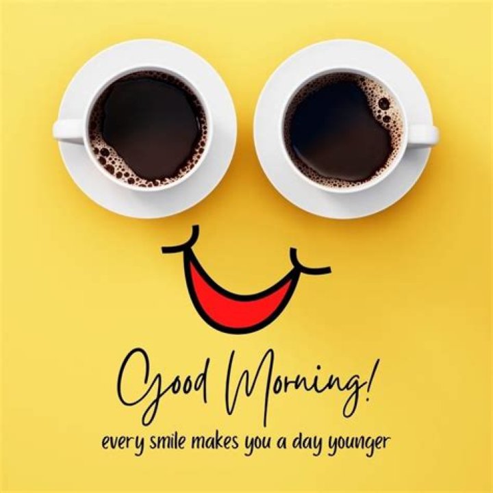 Start Your Day With A Smile: The Ultimate Good Morning Meme Collection