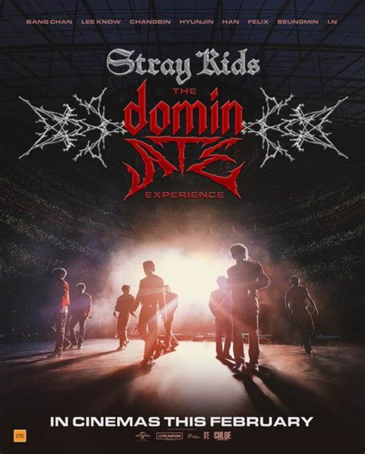 Stray Kids: A Comprehensive Dive Into Their Journey and Success