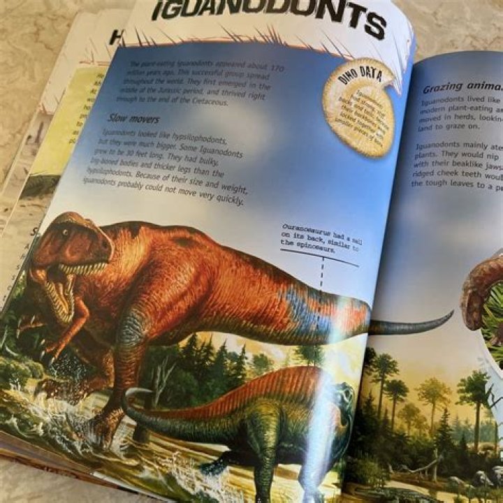 The Complete Guide To Camilla Araujo Leajed