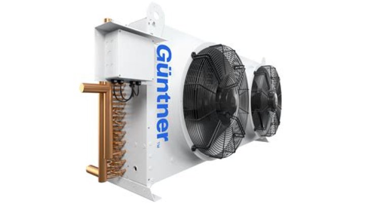 Todd Gutner's Net Worth Decoded