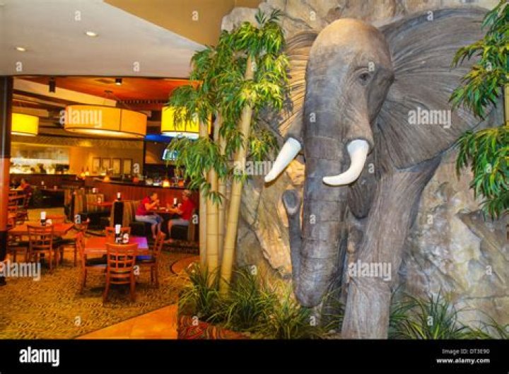 Uncover Culinary Treasures: Elephant Bar Restaurant Unveiled