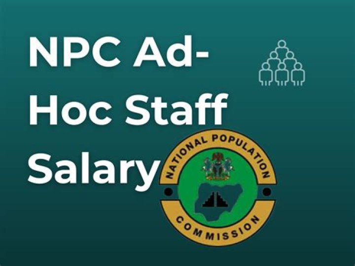 Uncover Secrets To Competitive NPC Ad Hoc Staff Salary