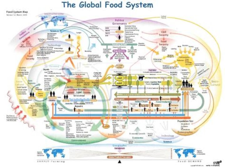 Uncover The Impact Of James Cargill III In The Global Food System