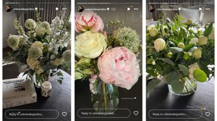 Uncover The Secrets Of Sandra Draisaitl's Success