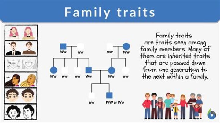 Uncovering Family Traits And Genetic Influences