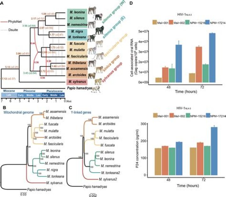 Uncovering The Enigmatic World Of Tamara Kalinic's Relationship