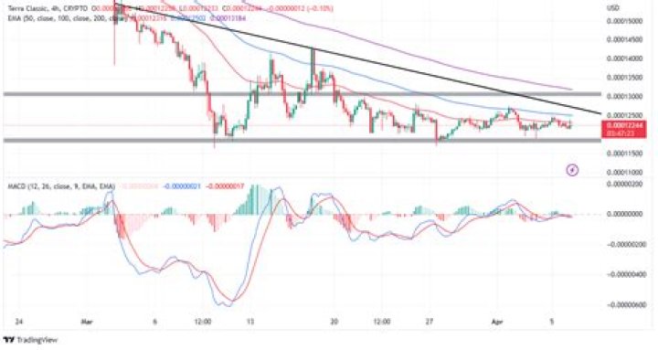 Uncovering The Factors Behind His Earnings