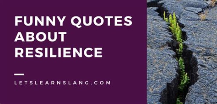 Uncovering The Humor And Resilience Behind The Parody