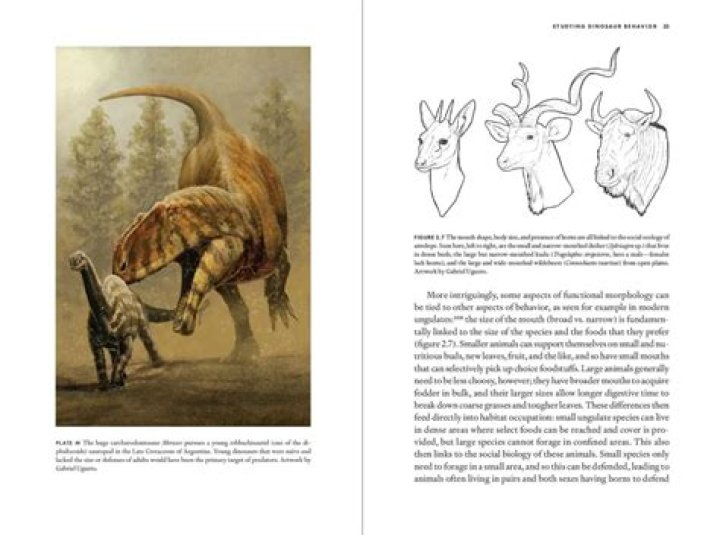 Uncovering The Secrets Of Striking Resemblance