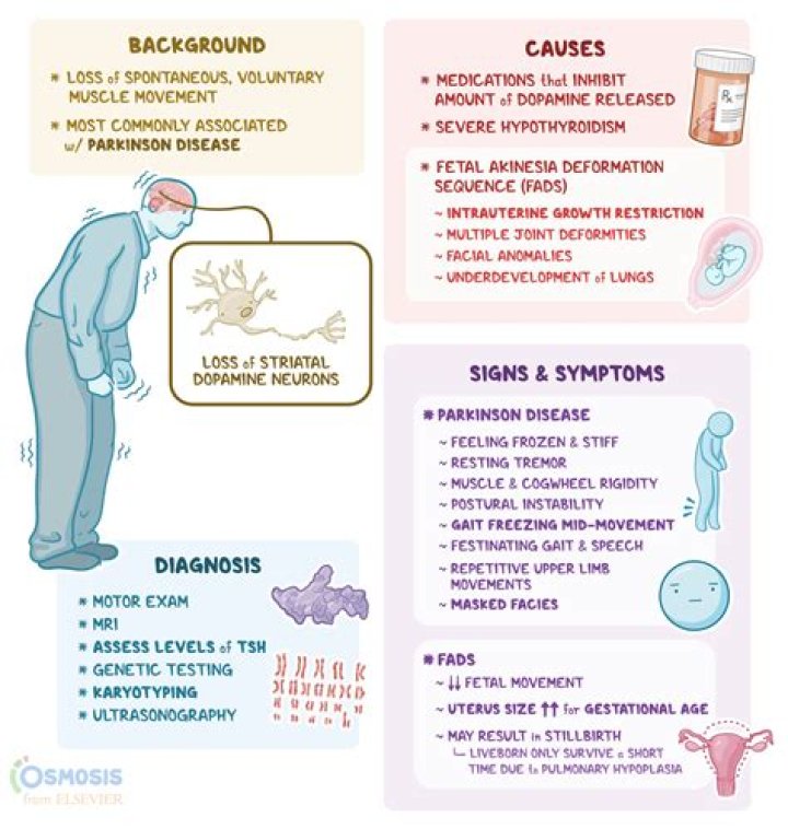 Understanding FoodBaby Belly: Causes, Symptoms, and Solutions