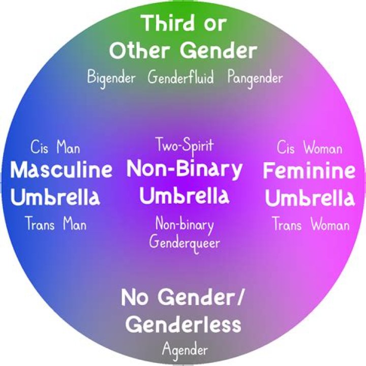 Understanding The Controversy: Brittney Griner's Identity And The Gender Spectrum