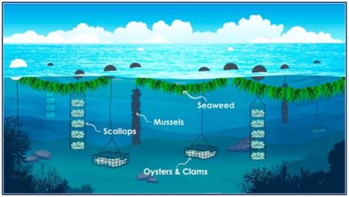 Unleashing The Power Of Romeo Santos's Sister: Discoveries And Insights
