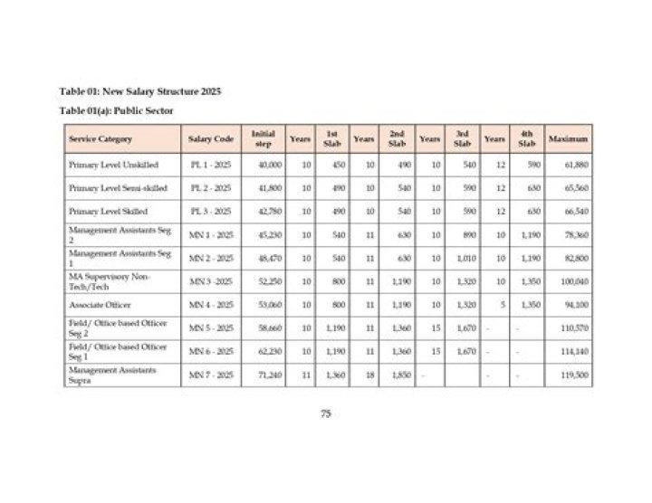 Unlock The Secrets Of Nigeria's Civil Service Salary Structure