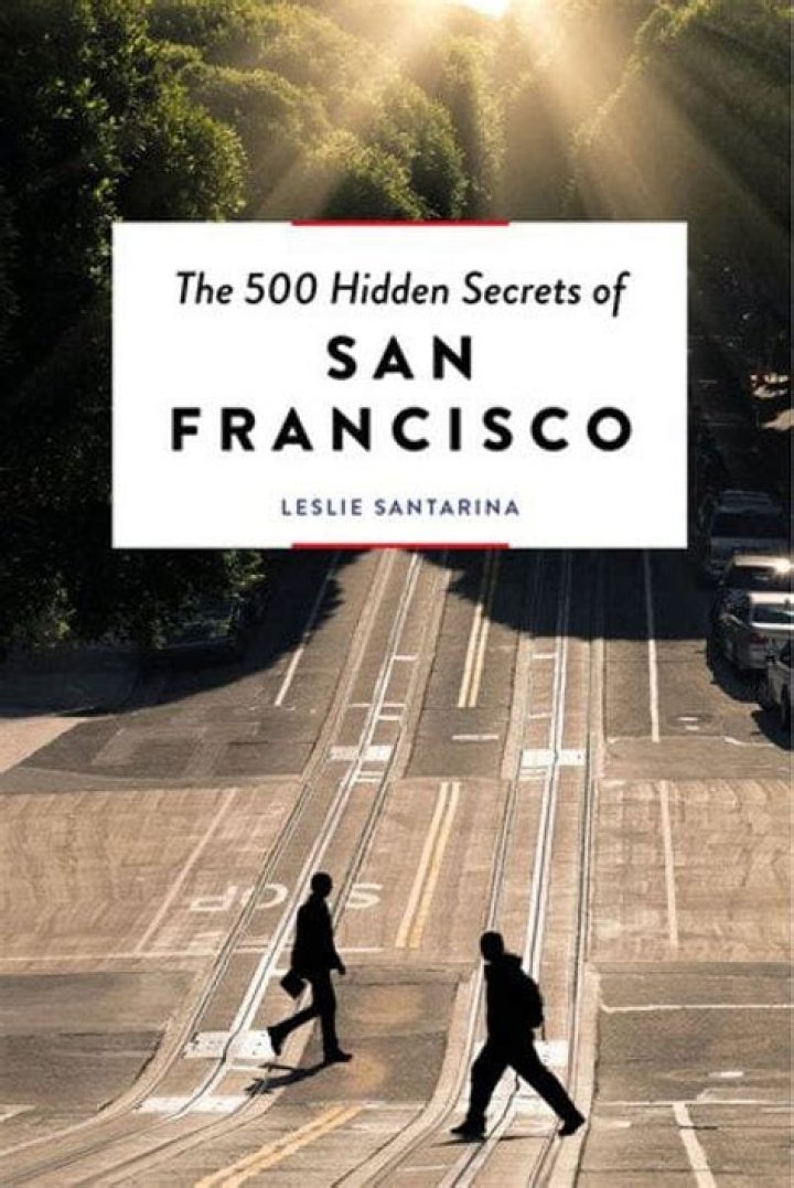 Unlock The Secrets Of San Francisco's Iconic "Muni Long Nose Job"