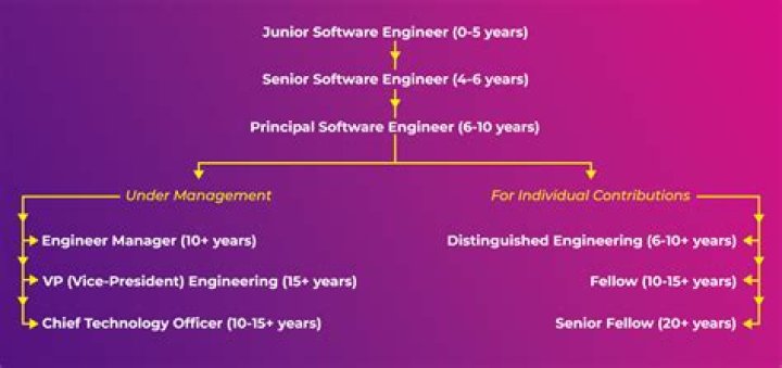 Unlock The Secrets Of Software Engineering With Louis Sylvester