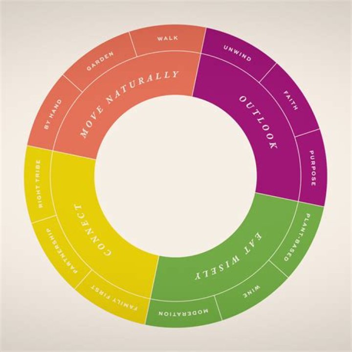 Unlock The Secrets Of Todopokie: Maximize Productivity, Minimize Stress