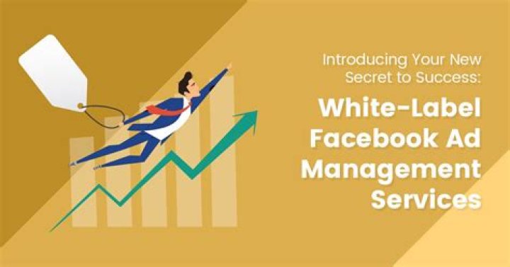 Unlock The Secrets Of White Label Facebook Ad Management