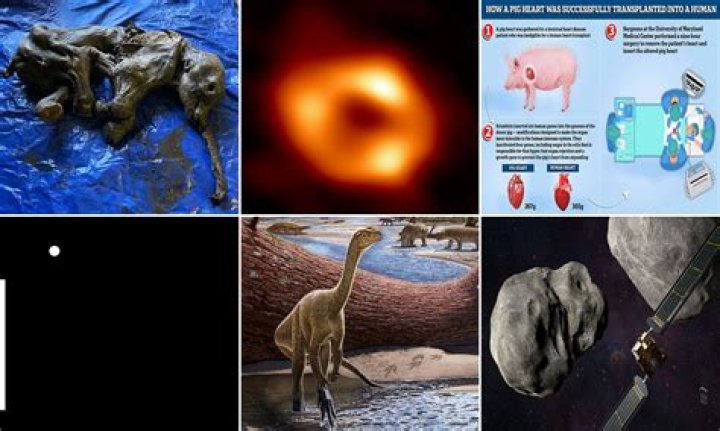 Unlocking Paul Gosar's Health Secrets: Discoveries And Insights