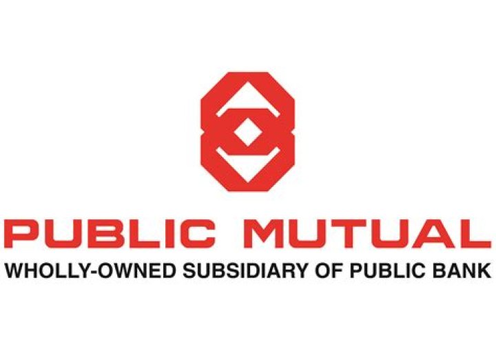 Unlocking The Power Of Public Mutual Online For Your Investments