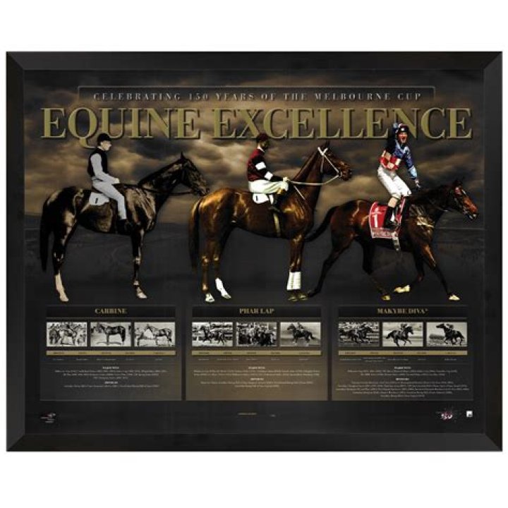 Unlocking The Secrets Of Small Equine Excellence