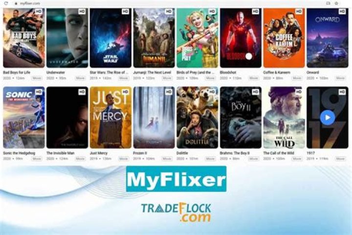 Unlocking The World Of My Flixer To: Your Ultimate Streaming Companion