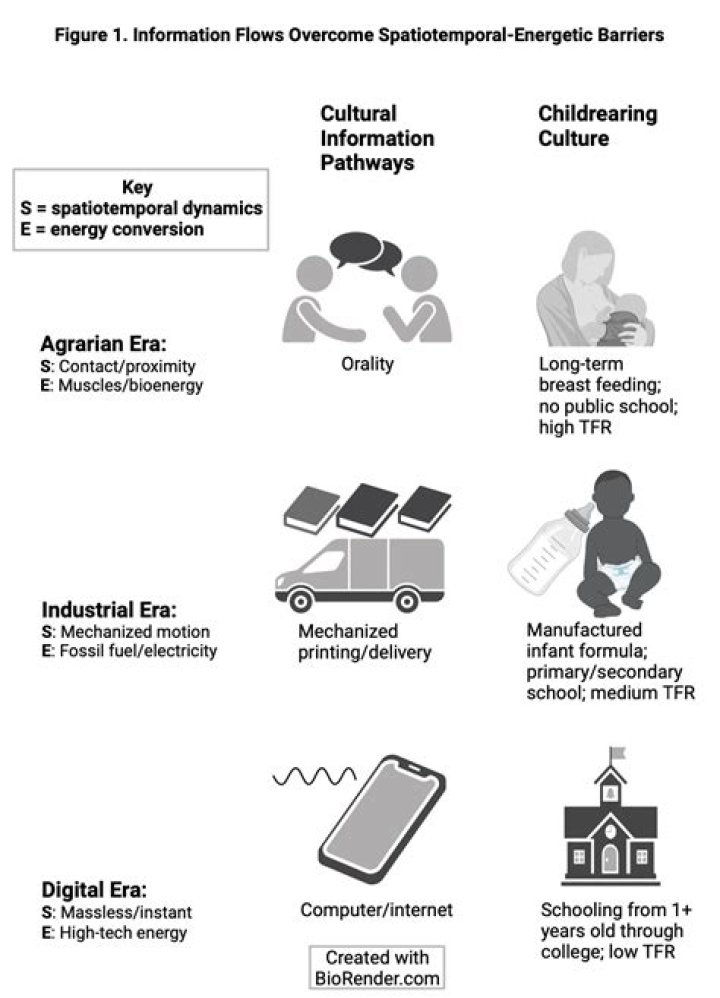 Unraveling The Influences: DeeDee Goodarzi's Parental Heritage