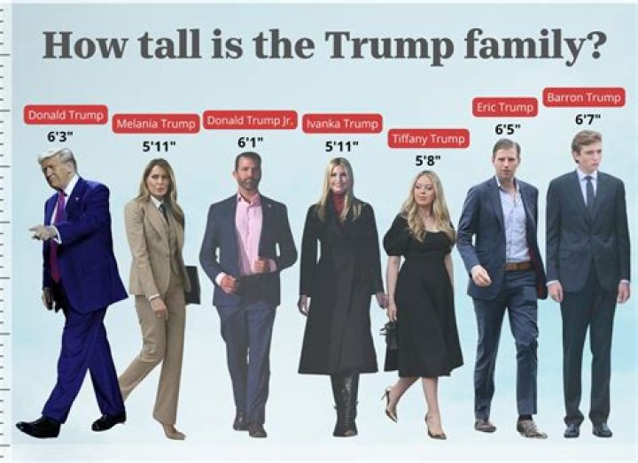 Unraveling The Mystery Of Fred Trump, Jr. Height
